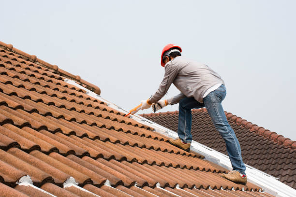 Best Hot Roofs  in Winchester, NV
